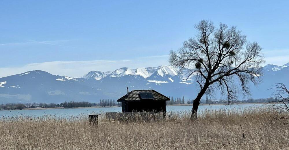 Bodensee Apartments, Sauna, Lake Walks, Free Parking, Self Checkin, Nature Reserve, Restaurants Nearby Gaissau  Esterno foto