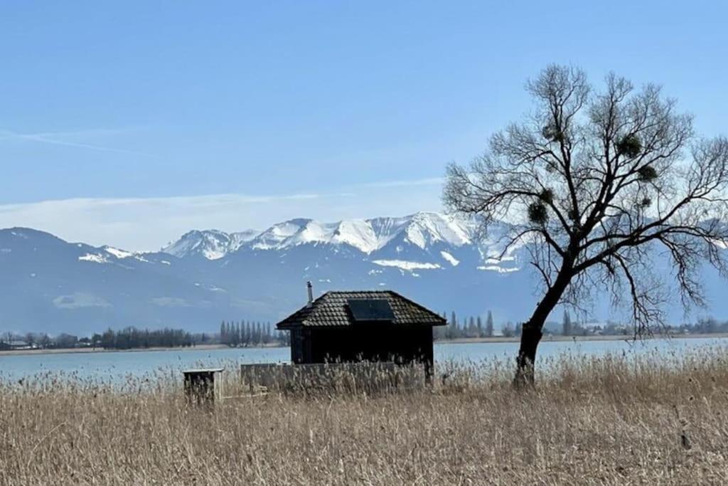 Bodensee Apartments, Sauna, Lake Walks, Free Parking, Self Checkin, Nature Reserve, Restaurants Nearby Gaissau  Esterno foto