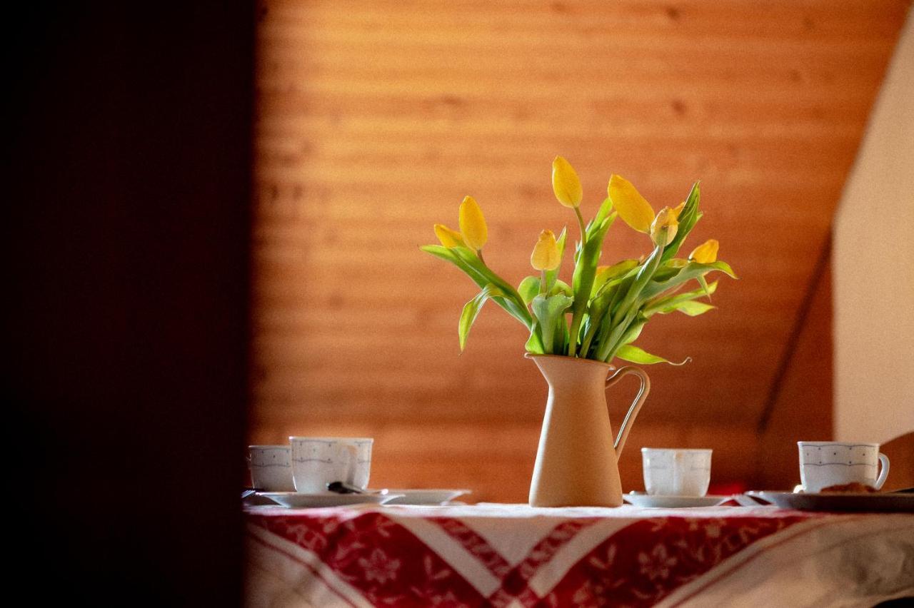 Bodensee Apartments, Sauna, Lake Walks, Free Parking, Self Checkin, Nature Reserve, Restaurants Nearby Gaissau  Esterno foto